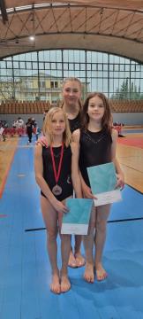 Novi uspehi za gimnastičarke ŠD Stoja